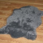B0032CY1C6-Grey535472e1bf62c.jpg
