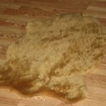 B0032CY1C6Tan.jpg