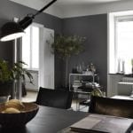 Bachelor Pad Living Room Plant 3